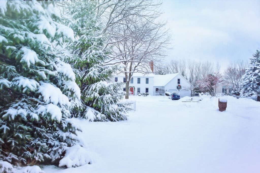 street with houses and trees covered in snow